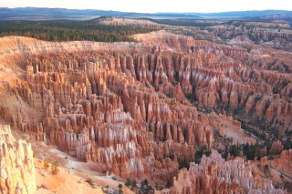 The Ampitheater at Bryce Canyon